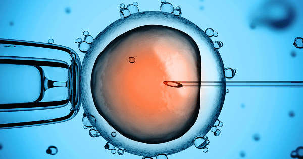 fiv fecondation in vitro